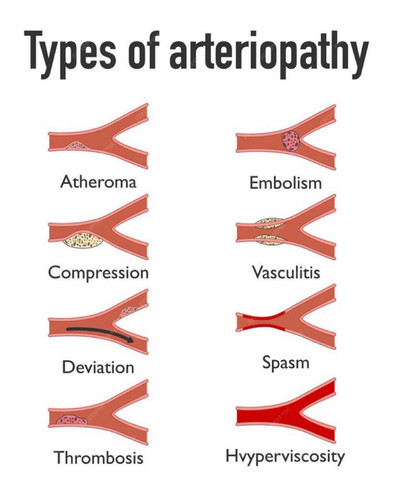 GPG3XHBXkAAoqxP?format=jpg.jpg