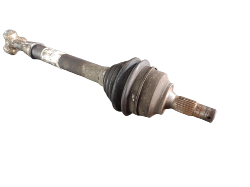 PhotoRoom 20231116 155313.png