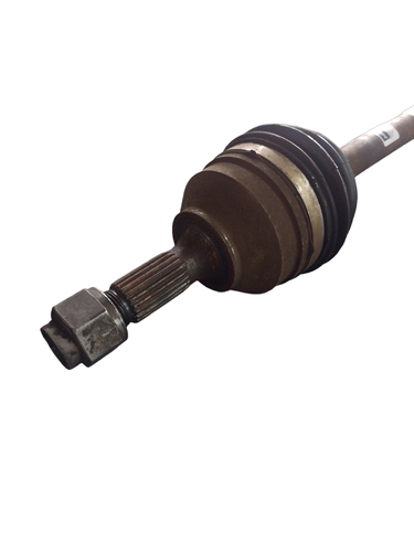 PhotoRoom 20231116 160245.png