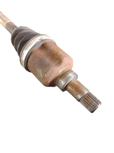 PhotoRoom 20231116 160203.png