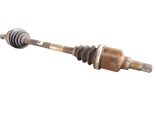 PhotoRoom 20231116 160145.png