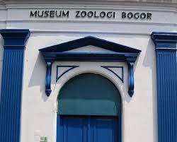 Museum Zoologi Bogor.jpg