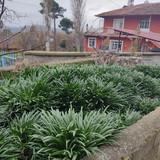 IMG 20221219 102444