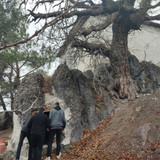 IMG 20221219 104832