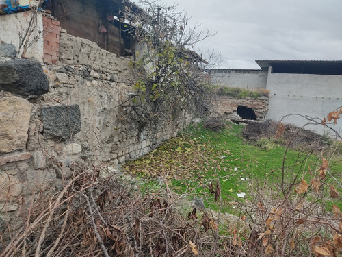 IMG 20221219 103040.jpg