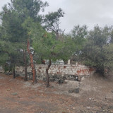 IMG 20221219 104817
