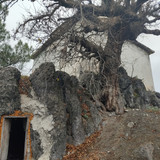 IMG 20221219 104838