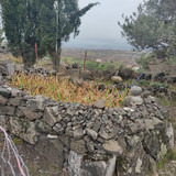IMG 20221219 105546