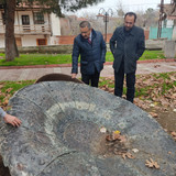 IMG 20221219 110838