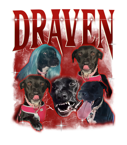 Draven 3093022498.png