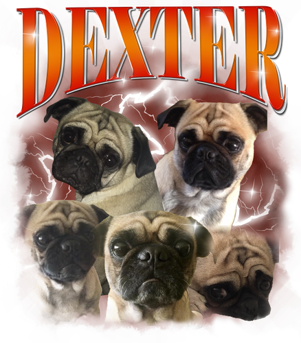 Dexter.png
