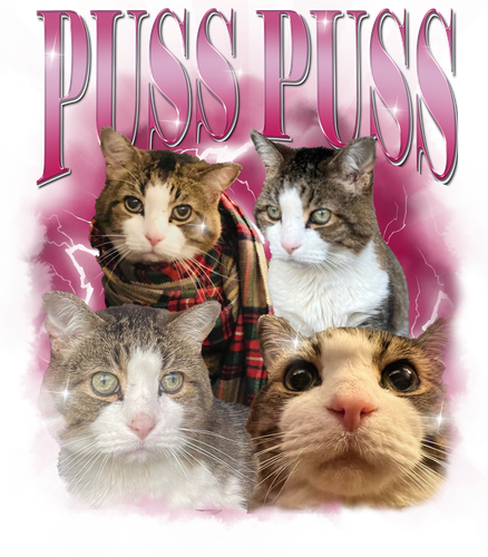 puss puss.png