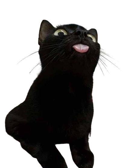 8lt2w3du0zb31 removebg preview.png