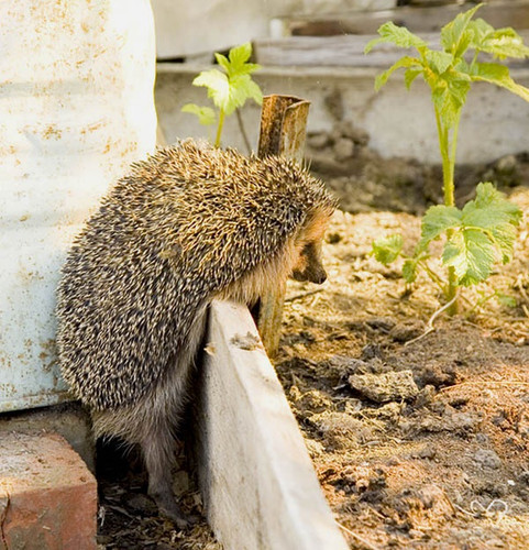 57768779 808017f4c047.jpg