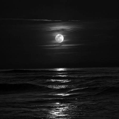 images (9).1