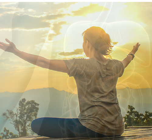 BioMatrix: Shop Best Supplements to Balance Hormones.2