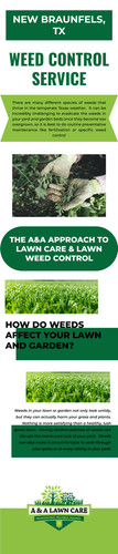 Effective Weed Control And Treatment Services.jpg