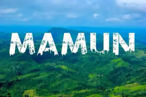 img 2 1684642249742.webp