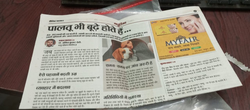news paper.1
