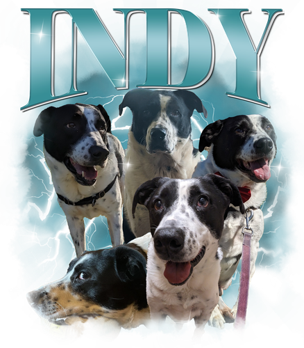 indy.png