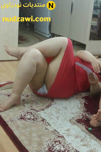 minilien sd 281604 292023 11 15 12 04 04