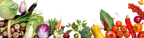 Website Widget Banner Veg rs removebg preview (1).png