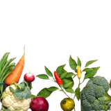 Website Widget Banner Veg rs removebg preview (1)