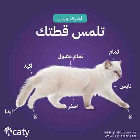 D1B62D9B 12E2 4ECE BC9B 9E52FA52C58F.jpg