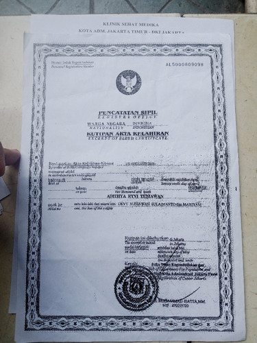 scaled da27e09c a819 4e53 b38a 7841dcd463b13294920660833088472.jpg