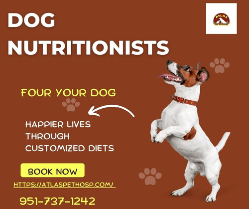 Dog Nutritionists Atlas Pet Hospital.jpg