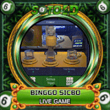 bingoo.gif