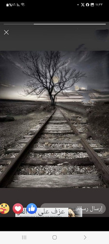 images%2Fimage 1700555820772.jpg