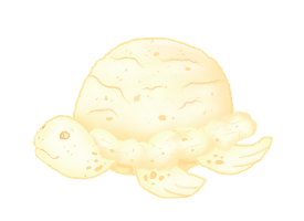 Untitled89 20231121144337.png