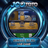 binggo.gif