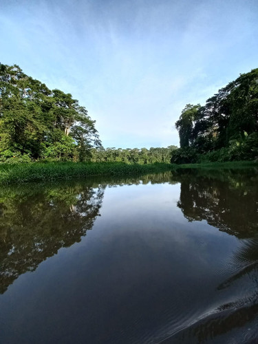 11ad0ed0 234d 4d87 ae93 a9f372fc3646.jpg