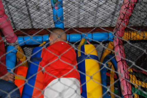DSC 0303.jpg