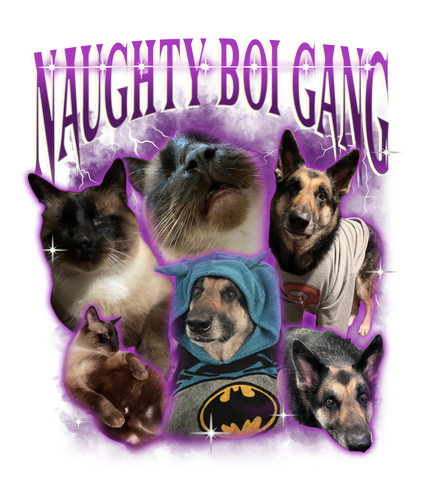Naughty Boi Gang.png