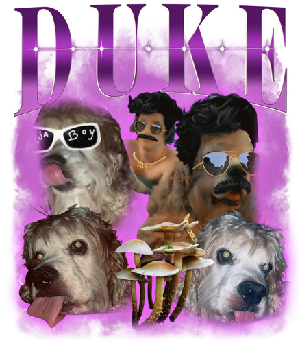 3082579514.png