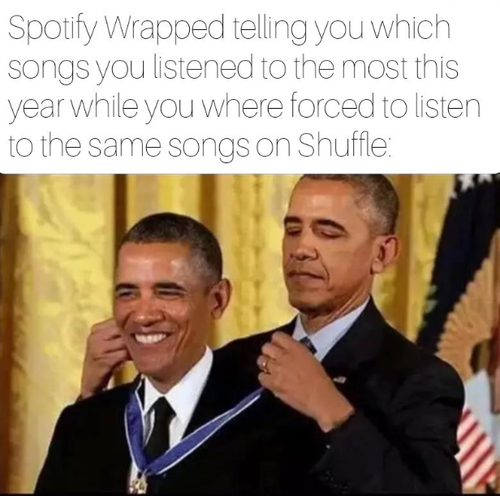 wrapped telling which songs listened most this year while where forced listen same songs on shuffle