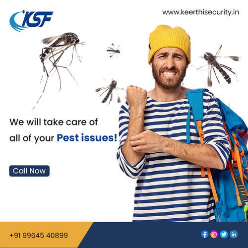 Pest invasion? 

Don't worry! We're the best pest control service in Bangalore. We'll get rid of your pests quickly and effectively, so you can enjoy your home or business pest-free. Call us today for a free consultation!

?Mail us info@keerthisecurity.in

?Visit us https://www.keerthisecurity.in/

#PestControl #PestControlPros #PestControlServicesBangalore #SnakeControl #CockroachControl #BedBugs #PestGone #PestControlServicesWhitefield #PestControlAgenciesWhitefield #PestControlCompany #SayNoToPests #PestControlAdvice #BestSecurityAgencyBangalore #PestFreeLife #PrivateSecurityAgencyBangalore #PestControlNearMe #SecurityAgenciesBangalore #PestControlTips #BestSecurityGuardAgencyBangalore #SecurityServicesBangalore#KeerthiSecurity #Bangalore