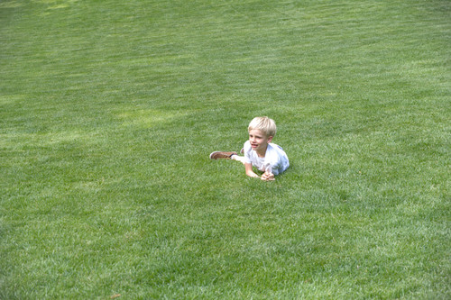 Noah on grass.jpg