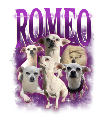 Romeo.png
