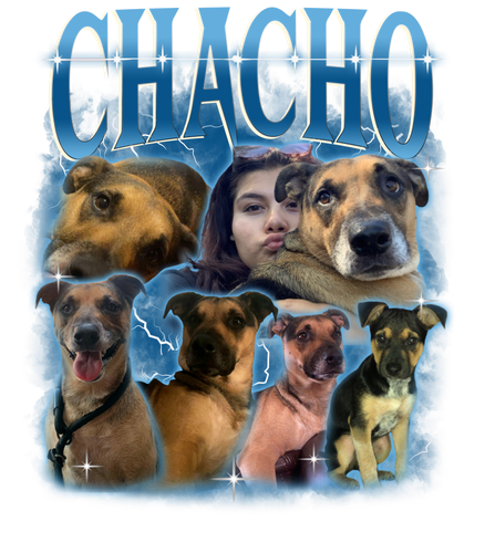 Chacho.png