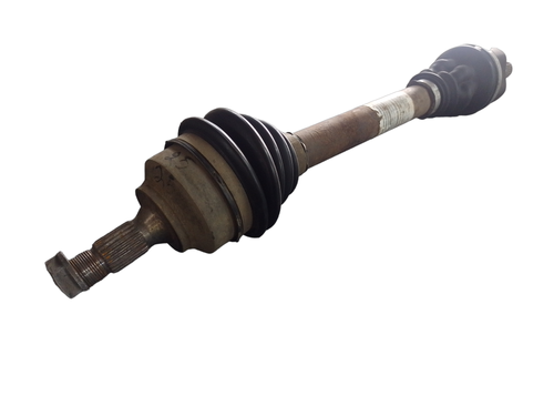 PhotoRoom 20231116 160903.png