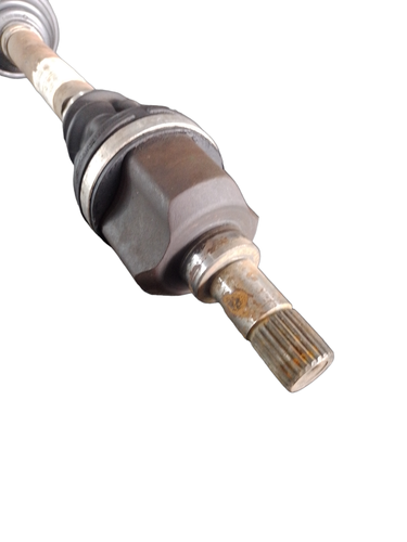 PhotoRoom 20231116 160847.png