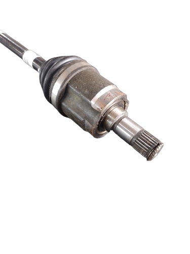 PhotoRoom 20231116 161825.png