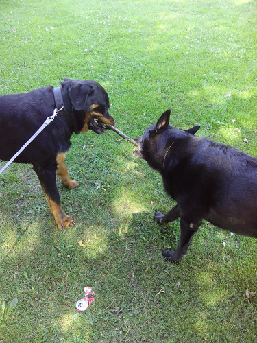 IMG 20130804 113335.jpg