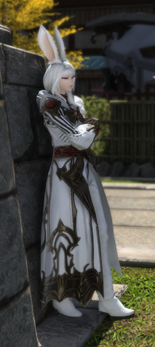 ffxiv dx11 Gameplay 2023 11 20 19 46 14.2