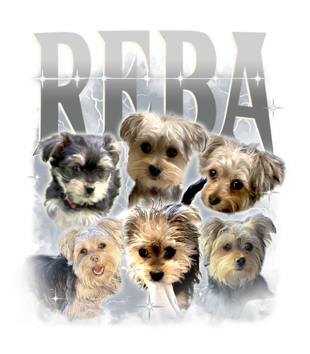 Reba 3080687883.png