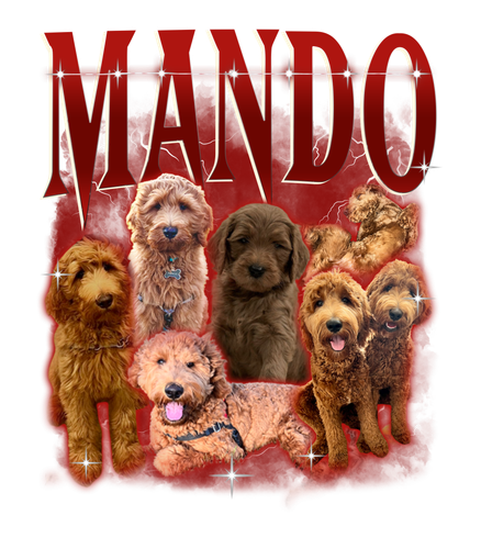 MANDO.png